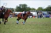 UKPA  NC Sat_1425